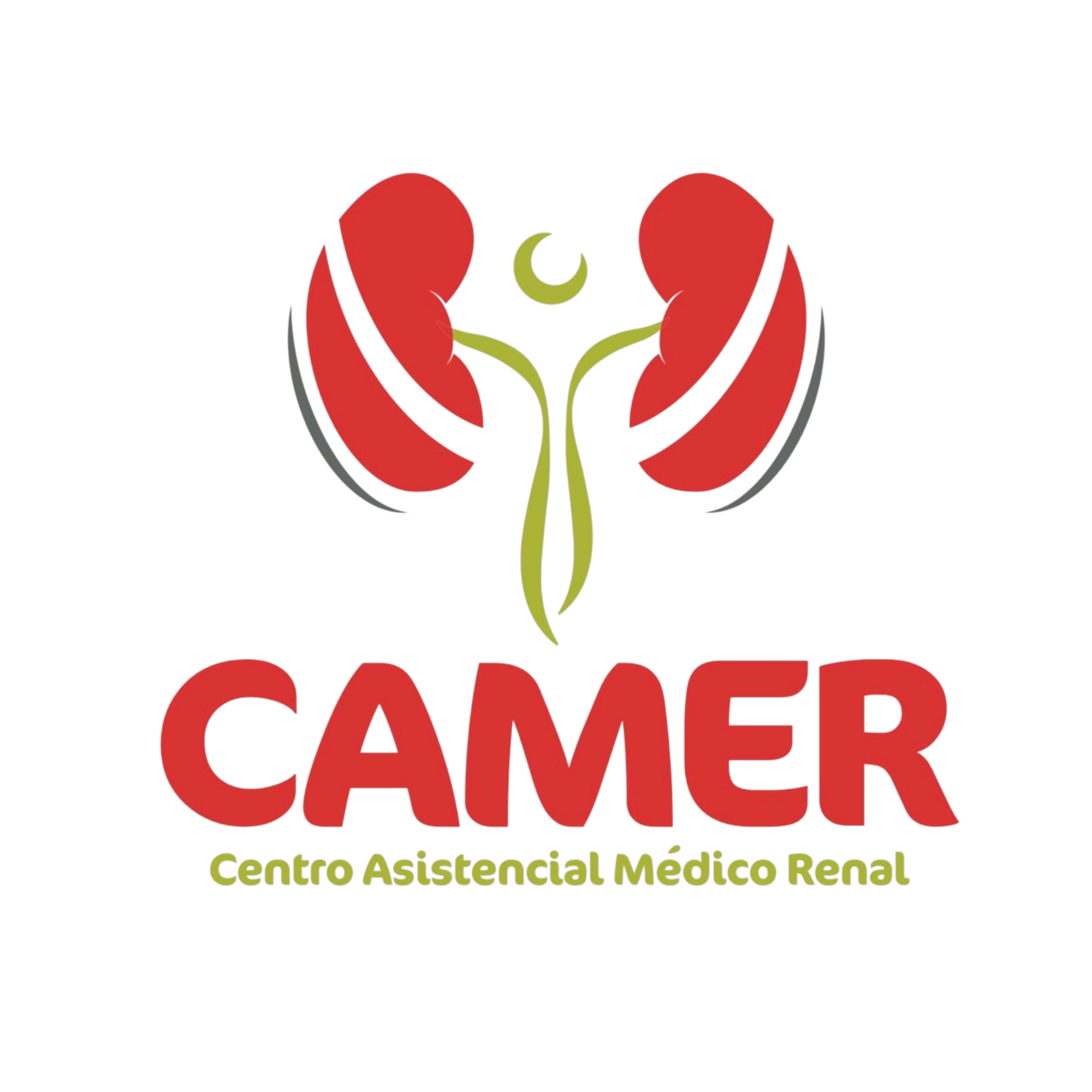 Logo Camer